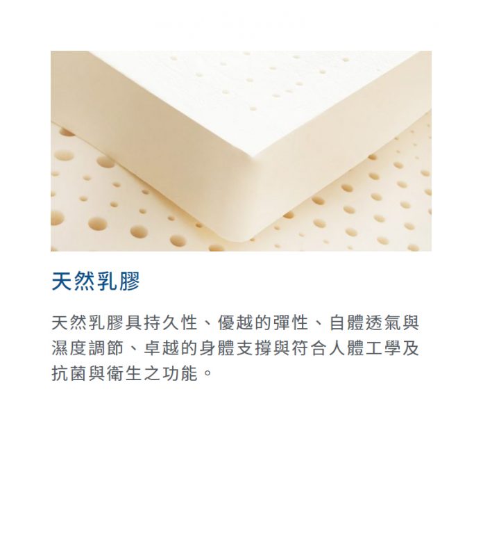 伊麗絲-雷諾瓦3代(2022父親節款)